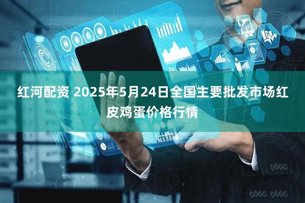 红河配资 2025年5月24日全国主要批发市场红皮鸡蛋价格行情
