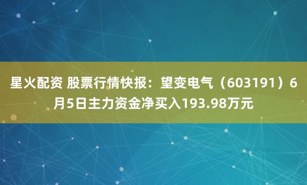 星火配资 股票行情快报：望变电气（603191）6月5日主力资金净买入193.98万元